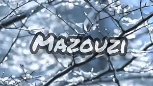 1.2M views · 31K reactions | Cheikh Mazouzi _Hali Lbab 3liya Maranichi 3douk_ الاغنية التي دمرت الجميع  | Rai Mix 2025 | Facebook