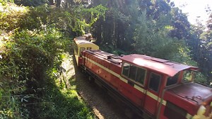 阿里山森林小火车