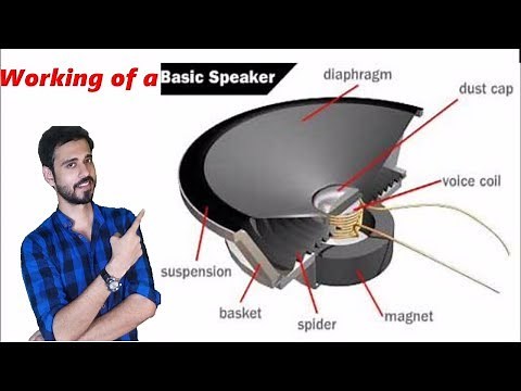 How does a Speaker, Subwoofer, Tweeter work?