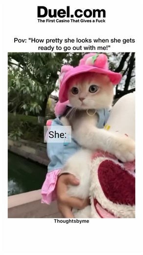 𝙆𝙖𝙣𝙪 🐾🐈 on Instagram: "Tag your princess❤️"