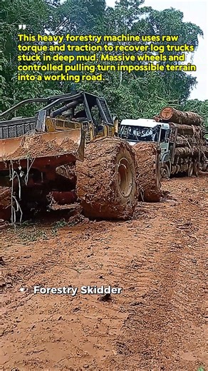 Extreme Logging Recovery Power #HeavyMachinery #USA #Shorts