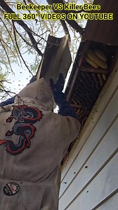 35K views · 299 reactions | Beekeeper VS Killer Bees #honeybees #killerbeeguy #invasivespecies | Killer Bee Guy | Facebook