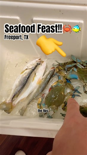 Absolutely delicious!!🔥 #catchandcook #bluecrab #seatrout #nightfishing