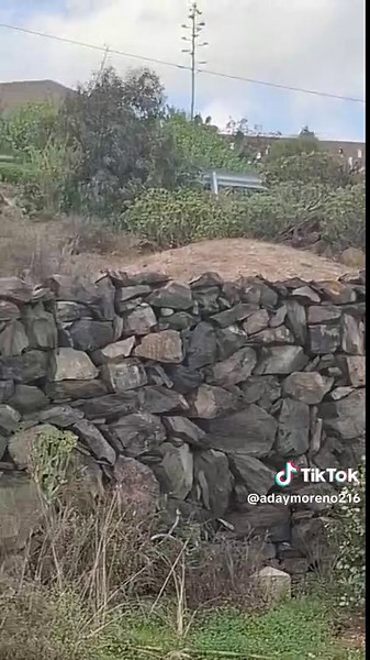 Citroen Saxo Cup Racing Highlights