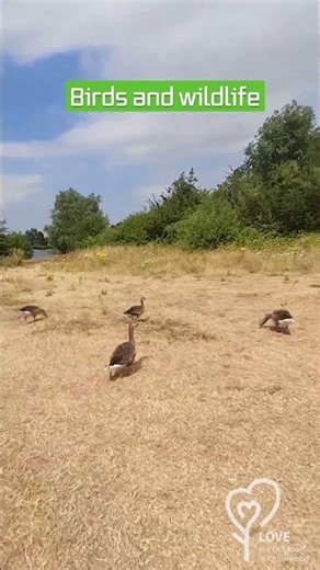 Love the Outdoors - Come with us to Watermead Country Park