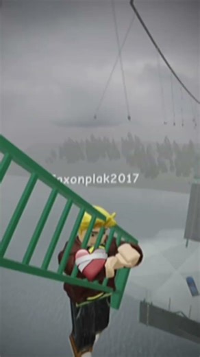 Bridge collapse in 1987