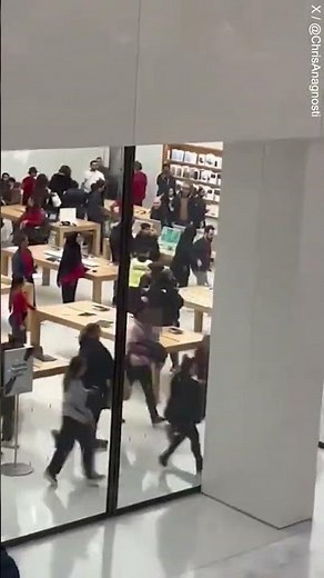 Gang of youths raid busy London Apple store
