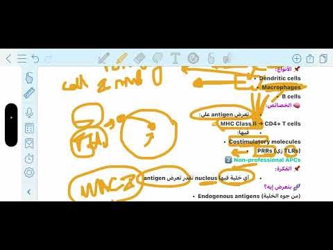 Immunity - antigen presenting cells 