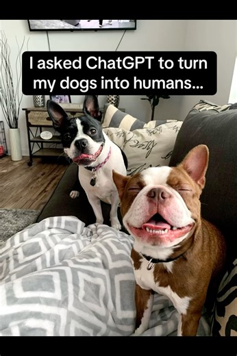 If My Dogs Were People | Funny Dog Transformation