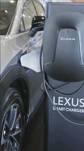 2024 Lexus LS500 Full Review! Interior, Exterior and More