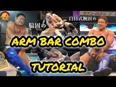 [GIANT GRAM 2000] 脇固めコンボ完全攻略 (Eng) ARM BAR COMBO TUTORIAL