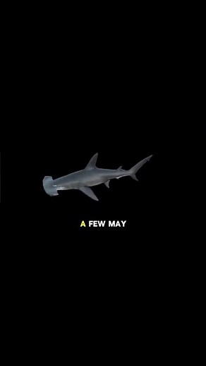 Discover the Vibrant Life of Fish in a Crysta.