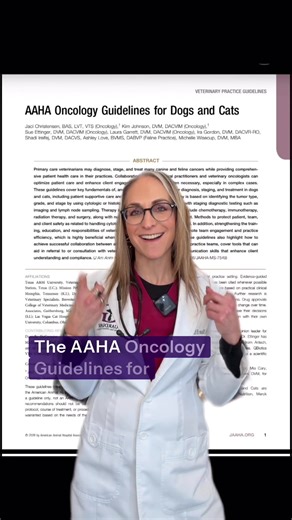 New Oncology Guidelines for Dogs and Cats 2026 Released