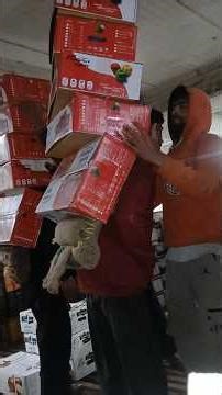 cold storage Fruits palledaari#cold #coldstoragesolutions