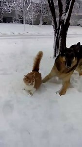 1.3M views · 23K reactions | Fan werden: FUUUUUUUUUU | FUUUUUUUUUU | Facebook