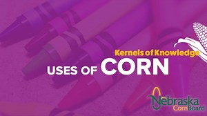 9.5K views · 73 reactions | Kernels of Knowledge: Did you know there are over 4,000 products made from corn? It's feed. It's fuel. It's food. It's everything! In part three of our three part video series, explore just a few of the products made from corn that you may use every day! | Nebraska Corn Board | Facebook