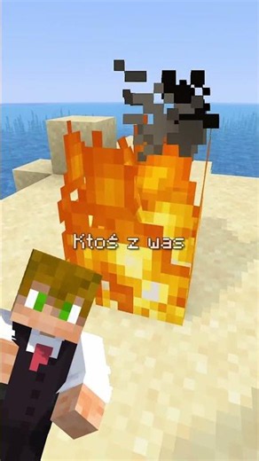 Does Minecraft make ANY SENSE ....
