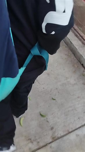 Videos de More Galvan Galvan (@moregalvangalvan) con “sonido original - Lego 777 👑”