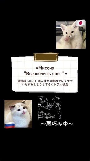 日本人×ロシア人カップルの通話でAlexaいたずら—おやすみ合戦