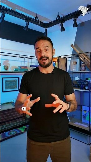 Pedologia e a diferença entre latossolos e litossolos.