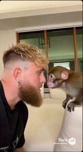 Famous Boxer vs Monkey… Throws WHAT! 🤢🐒