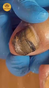 541. Hot day wellness simplified with heart-healthy meals #HeartHealth #SmartEating #SeasonalNutrition | LOS A-T BOYZ