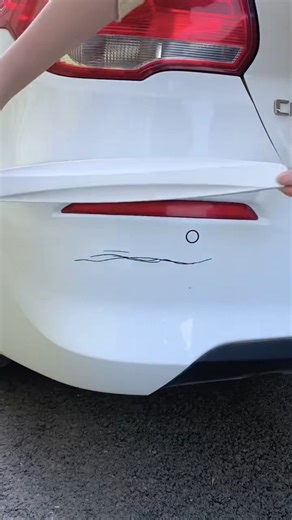 Gadget Boy on Instagram: "Link in my Bio👉 @gadgetboy4u Cat Bumper Protector #cars #viralreels"