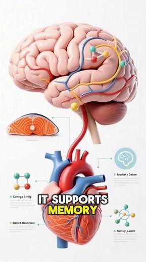 Salmon – The Ultimate Brain Food | Boost Memory, Focus & Heart Health Naturally