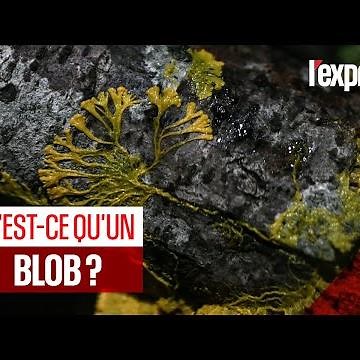 Qu'est-ce qu'un blob ?