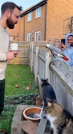 120K views · 3.9K reactions | cat did it, i got cctv footage 列 | Random Sparks | Facebook