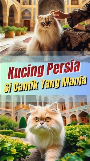 Kucing Persia 🐱💚 Si Cantik Yang Manja | Belajar Dan Fakta Hewan #belajarhewan #cuteanimals