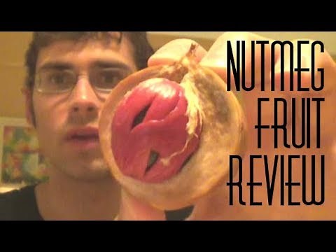 Nutmeg Fruit Review - Weird Fruit Explorer : Ep. 7