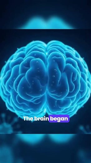 Supplementing LAC and discovering rapid brain repair
