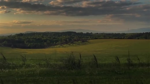 Meta4 Planet 🥱 ..