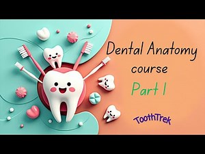Detailed Tooth Anatomy Explained (Part 1) | Complete Dental Guide for Students