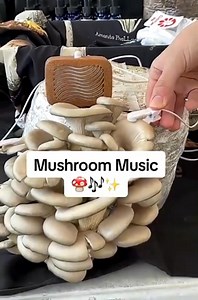 48K views · 162 reactions | Science  #science #sciencefacts #sciencefiction #sciencenews #tbtchallengeaccepted #TBTchallenge #technology #technique #knowledge #knowledgeispower #facebookreelsviralviralシfypシ゚ #reelschallengereelschallenge #reelsvideoシ #reelschallengereelschallengereelschallengereelschallenge #reelsviralシ #facebookpostシ #shortsreels #reelsviralシfb #reelsfbシ #facebookreelsviral #SciFiAdventure #animation #unique #music | An Wizards An Wizards | Facebook