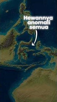 The animals on this island are all anomalies