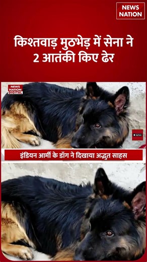 Jammu-Kashmir Big Encounter : Indian Army के Dog Tyson ने terrorists की उड़ाईं धज्जियां,2 Death!