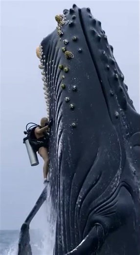 Incredible moment lightning strikes near the ocean #nature #storm #weather