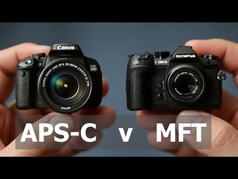 Micro Four Thirds vs APS-C: Which Wins?