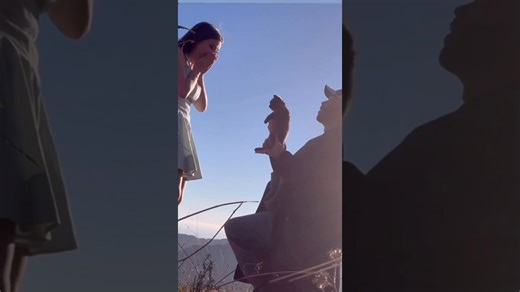 How I included my cat in the perfect marriage proposal