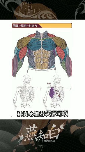 Muscles Made Easy #drawing #painting #howtodraw