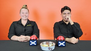 Our Pet Counselors were up for a Breed Trivia Challenge! How do you think they did? 藍 #trivia #dogtrivia #triviachallenge #challenge #petlandflorida | Petland Pembroke Pines | Facebook