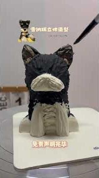 Today's Birthday Star: DouDou the Schnauzer from Shanghai