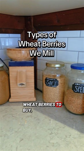 Are you new to fresh milled flour? We'll share what types wheat berries we use, how we use them, where we get them... and our new way to store them. #freshlymilledflour #wheatberries #ancientgrains | Green Pig Farm