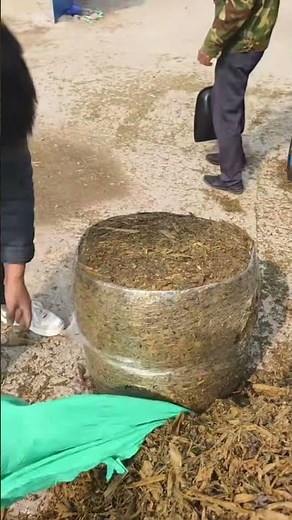 roll of cow food uncover for after uses for cow