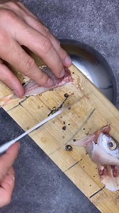 873K views · 3.2K reactions | Big fishing! Cat fish! #itopfishing #fishing # | itopfishing | Facebook