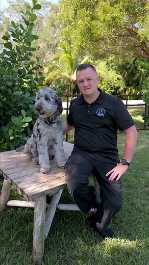 Meet Suki the Bernedoodle - A Unique Blend of Cuteness