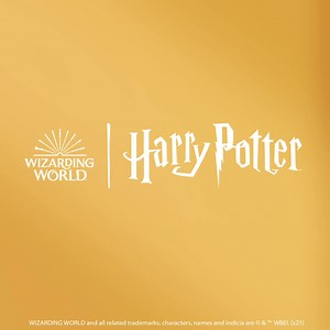 256 reactions · 112 shares | Bake up some magic this holiday season with the Official Harry Potter Baking Book! Muggles & Wizards alike will delight! | Scholastic | Facebook