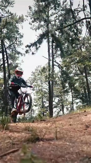 RFN EVO ⚡Potencia con clase. 🔝Motor brushless 750W, velocidad de hasta 30-35 km/h y autonomía de hasta 40 km para disfrutar sin límites. Ligera, resistente y preparada para cualquier terreno. #rfn #bici #ebike #motosapollo #roan | Motos Apollo